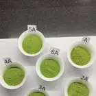 ماتشا