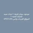 موجود سمان فرهه الموقع القريات