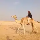 رحول عمانيه طيبه