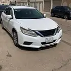 التيما 2017 لؤلؤي