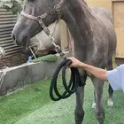 مهره شعبيه