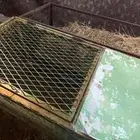بطاريات ارانب للبيع