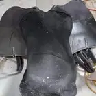 سرج ستيتوس