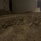 قطه أرض بحي الحرة الشرقية بمليون