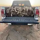 مسح صندوق غمارتين سمر