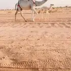 للبيع خلفه كفو