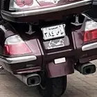 قولد وينق