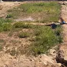 استرحه المساحه 2000 بالجله قريبه من طريق مكه 4 كيلو