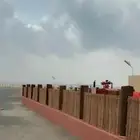 سعف وخزارن لنخل الزينه الحدائق والأكواخ