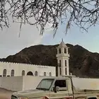 شاص 2010