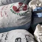 تمر للمواشي العدد حول 50 كيس