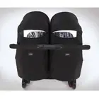 عربية أطفال توام