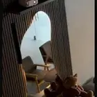 مراية مضيئة