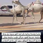 عشرا وضحا بكر ثنيه حدرها قعود حراقي