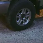 جنوط المحيميد