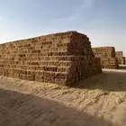 تبن بر شد طيب