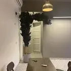 شجرة ورد زينه. كبيره للبيع