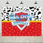 خلفية تصوير