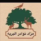 مزادات نوادر الحياة البريه