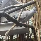 حمام خلخليت