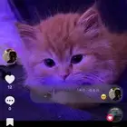 السلام عليكم