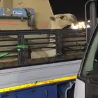 دينا كرين نقل توصيل ابل