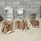حطب
