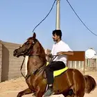 مهر مستقبل سباقات