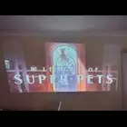 بروجكتر