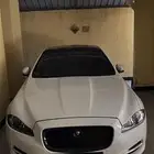 جاكور للبدل فقط