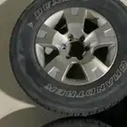 جنوط فتك سوبر سفاري