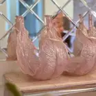 صياني تقديم