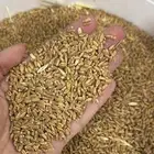 صما بدون كيماوي