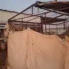 شبك للعلف باب