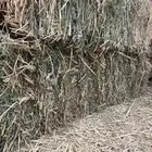 برسيم مخزن مخلوط شد فاخر امتار