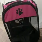 مستلزمات قطط