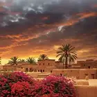 مطلوب حوش ايجار