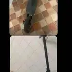 سكوتر للبيع الحد 50 ريال لايجي ال صامل