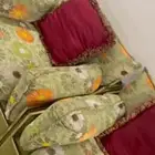 كنب مفروشات عفش بيت اثاث مستعمل