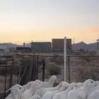 طليان ضحايا