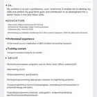 CV بنظام الATS