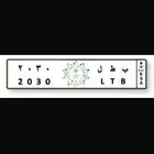 لوحة مميزة بطل 2030