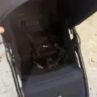 عربة اطفال مامازا