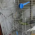 سباب البيع عشان ابغه انقل ومتنقص