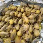 عصافير منتوف جاهز