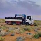 دينا ونش كرين