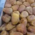 تمر سكري مفتل ملكي للكميات الكبيرة