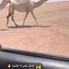 بكره