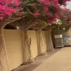 ستاند جهنميه