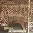 مشب وجار نار